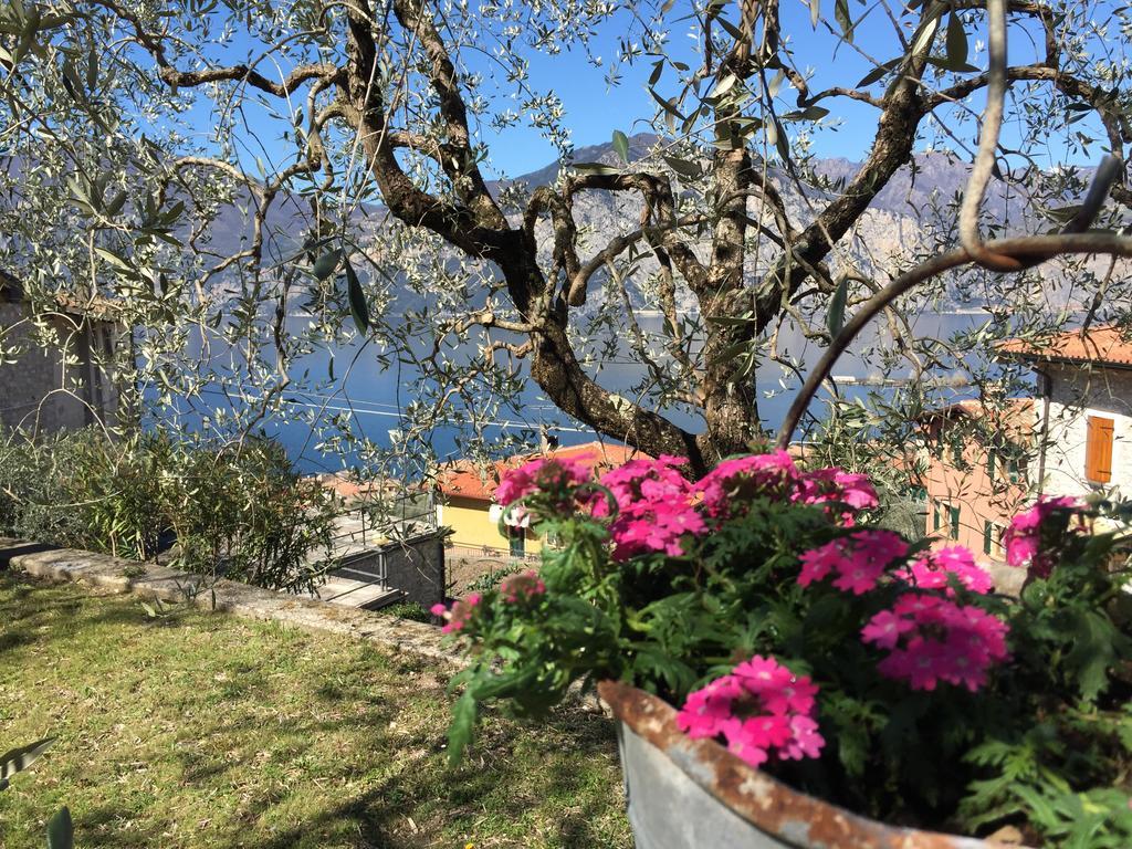 Casa Valentina Διαμέρισμα Brenzone sul Garda Εξωτερικό φωτογραφία